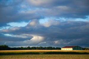 Traiteur Champs-sur-Marne